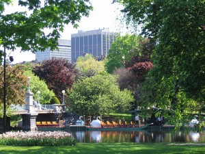 The Boston Public Garden.